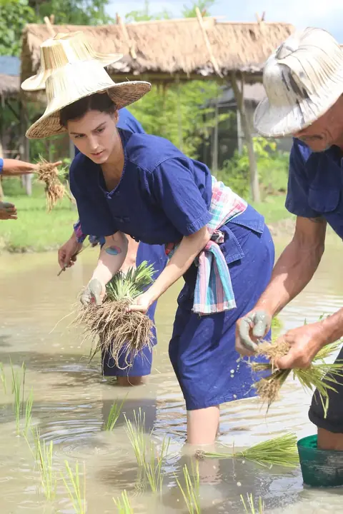 HANG TUENG FARM